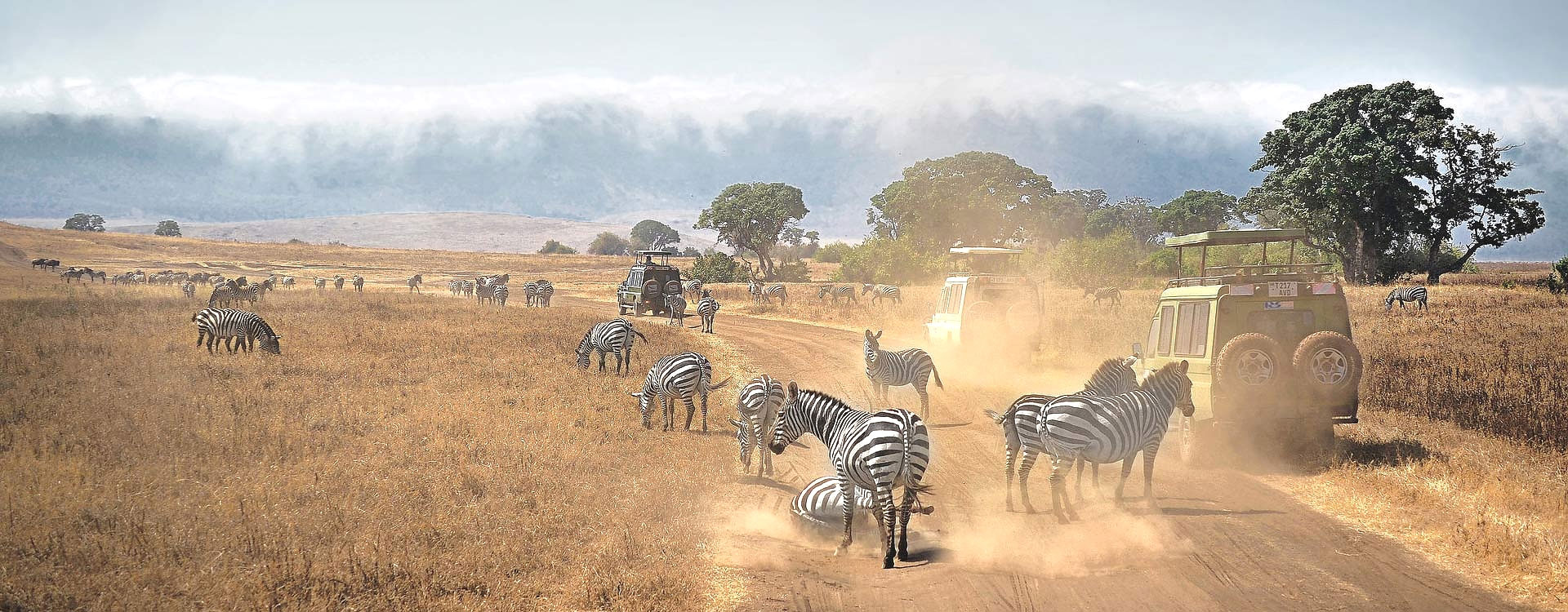 4 Days Secluded Serengeti Safari
