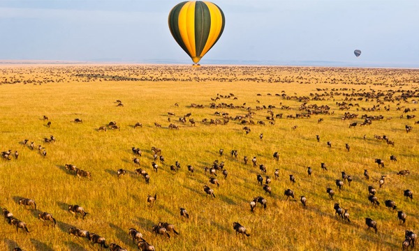 4 Day Secluded Serengeti Safari