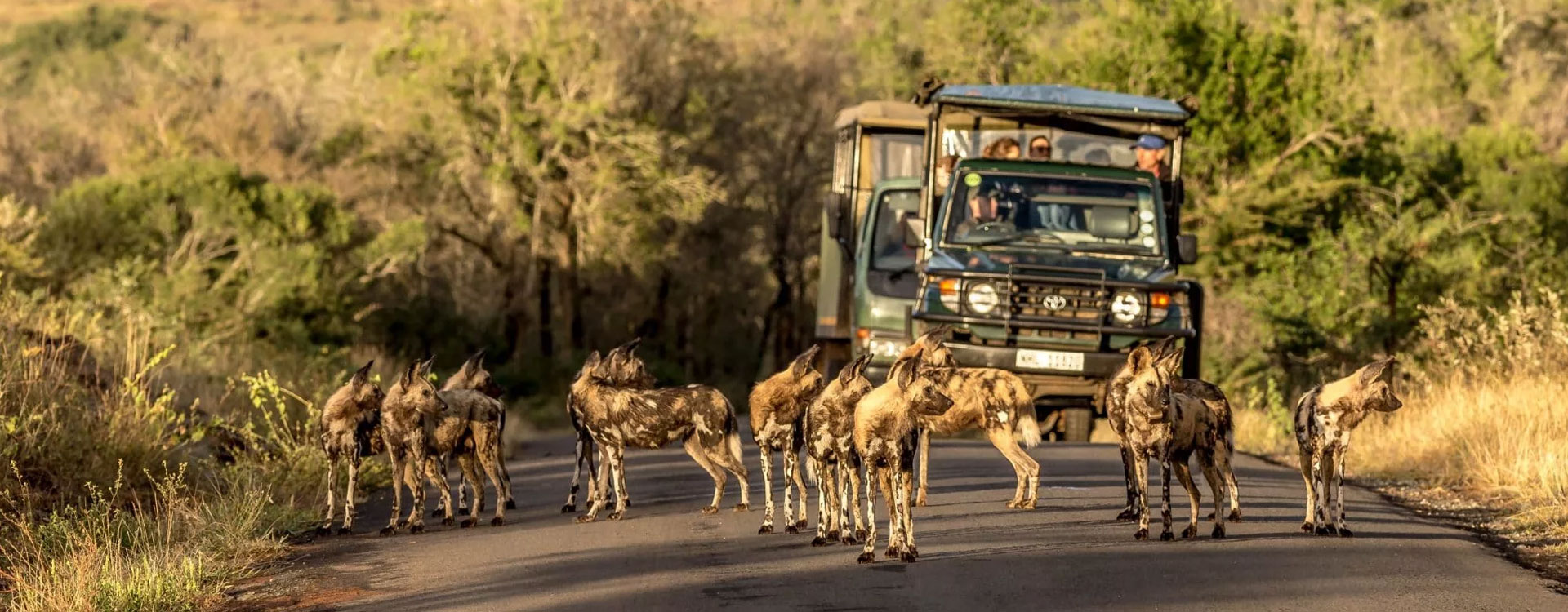 4 Days Unforgettable Kruger