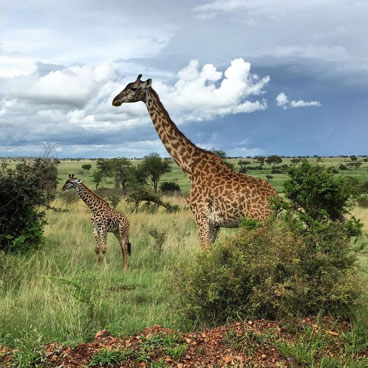4 Days Unspoiled Serengeti Safari