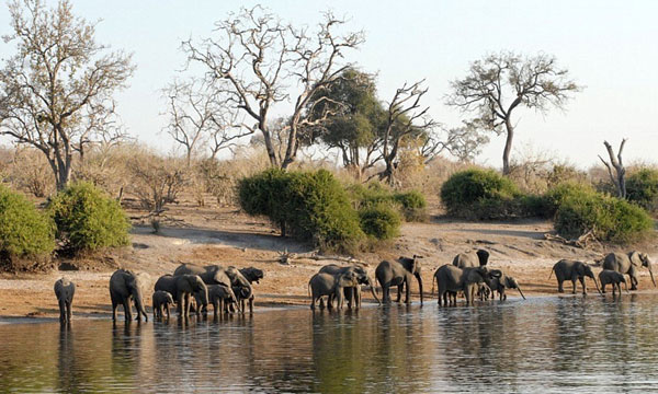 5 Days Elephant Encounter