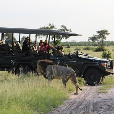 5 Day Elephant Hills Hotel Package