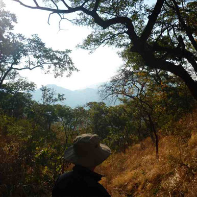 5 Day Tingwa Valley Safari