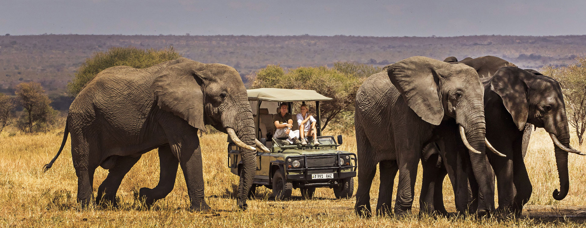 5 Day Tingwa Valley Safari