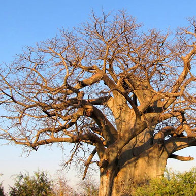 7 Day Namibia Self Drive To Etosha
