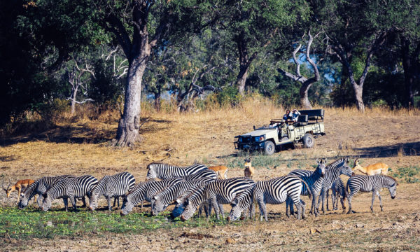 7 Day Namibia Self Drive to Etosha