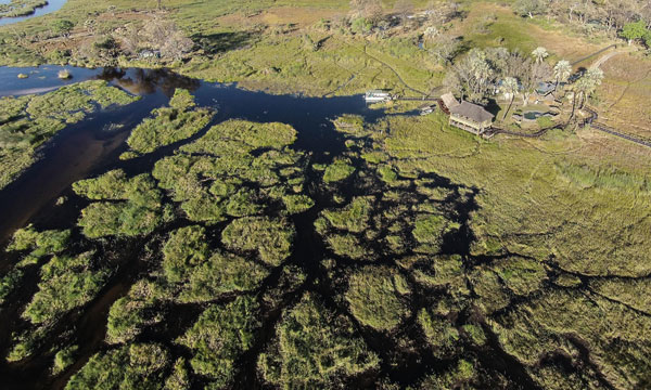 5 Days Ultimate Wetlands
