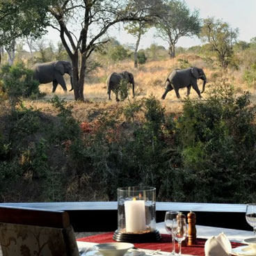 Classic Okavango to Linyanti Fly-in Safari Tour