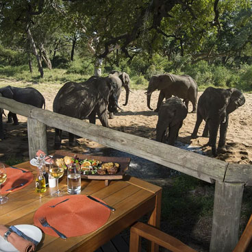 Classic Okavango to Linyanti Fly-in Safari Tour