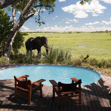 Classic Okavango to Linyanti Fly-in Safari Tour
