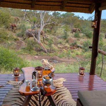 5 Days African Bush Walking  Safari