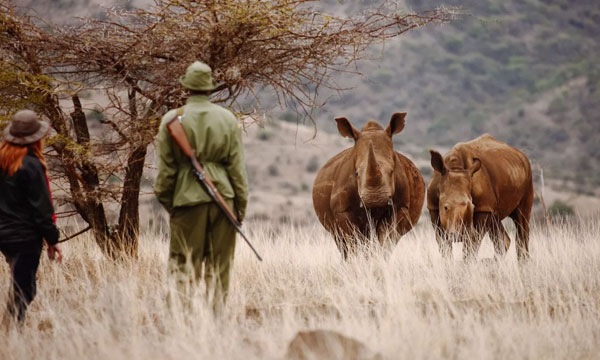 5 Days African Bush Walk Safari
