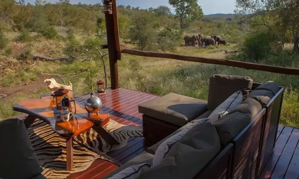 5 Day Balule Game Reserve and Serenity Forest Lodge