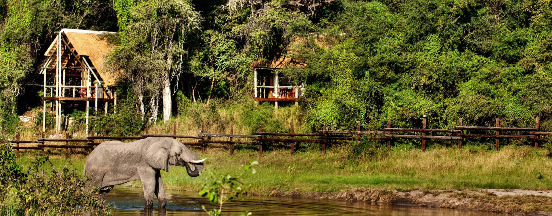 5 Days Botswana Short And Sweet Safari