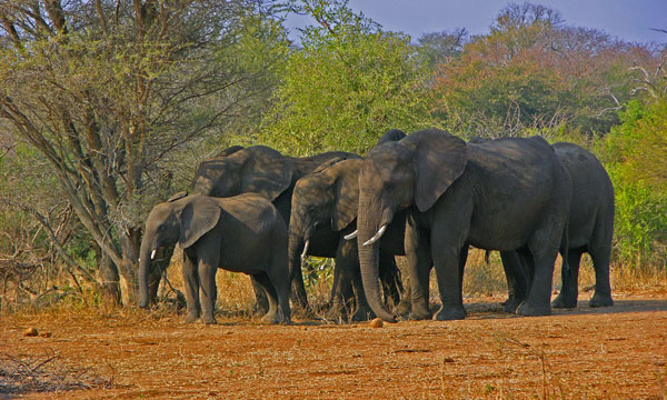 5 Day Bush Country Getaway