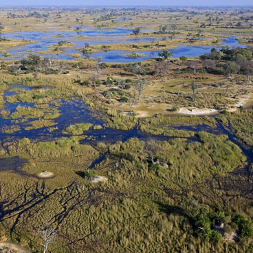 Luxury Chobe & Okavango Safari Package