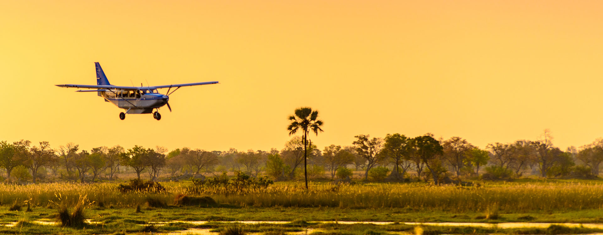 Classic Okavango - Savuti Fly-in Safari Tour