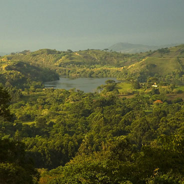 5 Days Kibale & Bwindi Safari