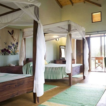 5 Days Kids Serengeti Explorer Safari