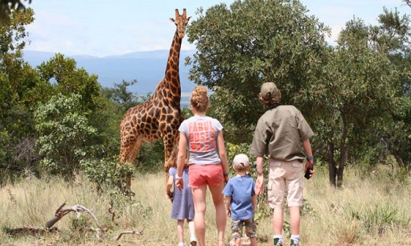 5 Day Kids Serengeti Explorer Safari