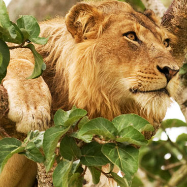 10 Day Namibia Highlights Safari