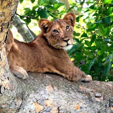 10 Day Namibia Highlights Safari