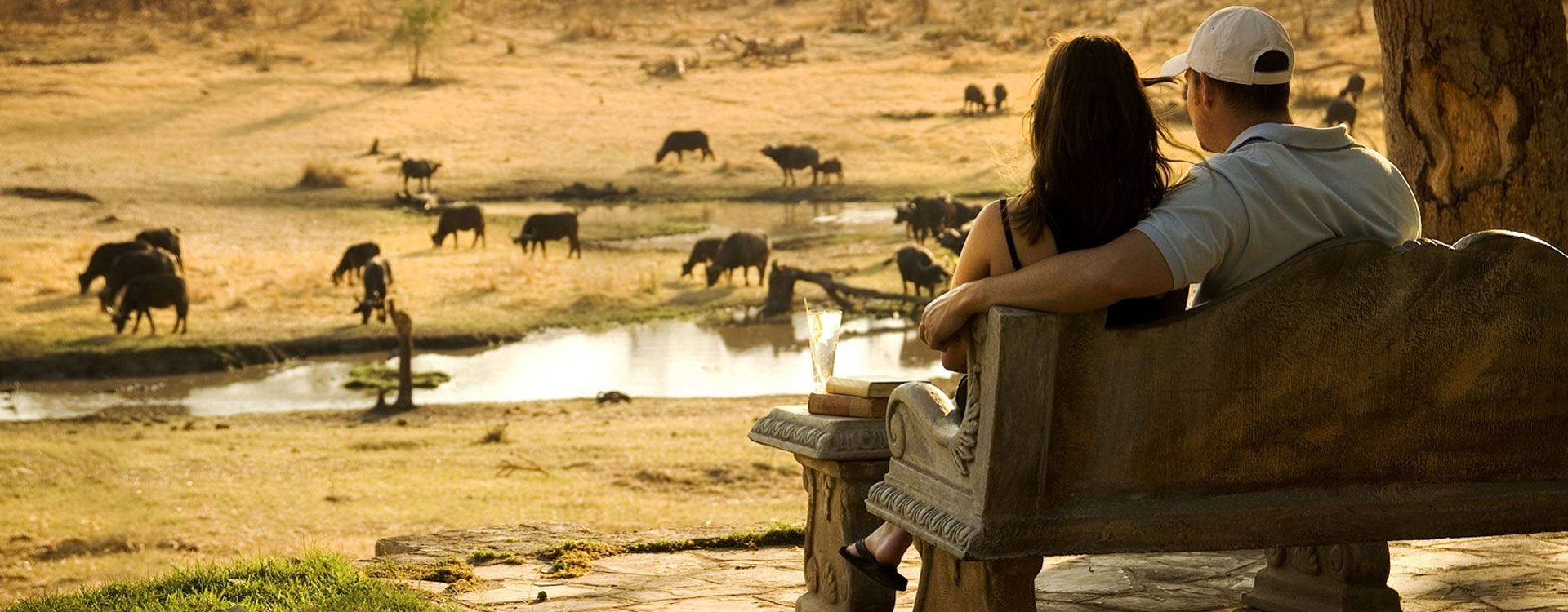 Premier Okavango and Chobe Safari Tour