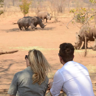 Premier Okavango and Chobe Safari Tour