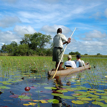 Premier Okavango and Chobe Safari Tour
