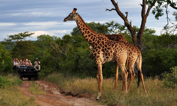 5 Days Tranquil African Safari
