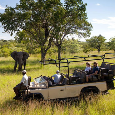 5 Day Ultimate Moremi & Okavango Delta Safari Tour