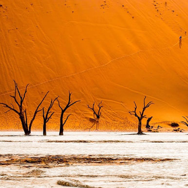 6 Day Desert Homestead and Horse Trails Namibia