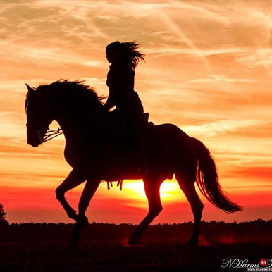 6 Day Desert Homestead and Horse Trails Namibia