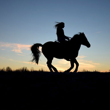 6 Day Desert Homestead and Horse Trails Namibia