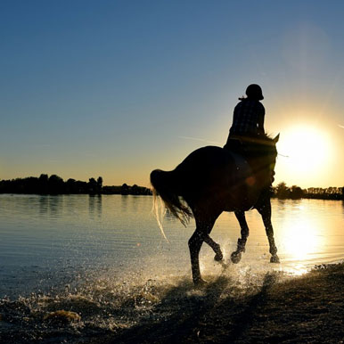 6 Day Desert Homestead and Horse Trails Namibia