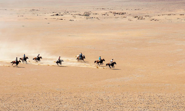 6 Day Desert Homestead and Horse Trails Namibia