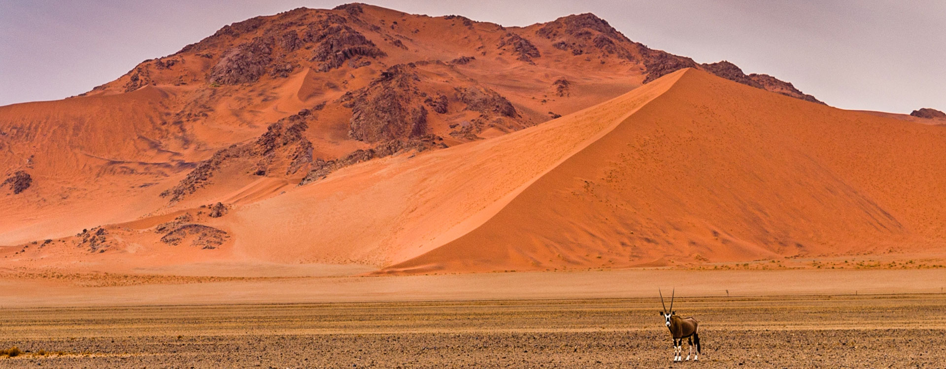 6 DAY DUNES & WILDLIFE OF NAMIBIA