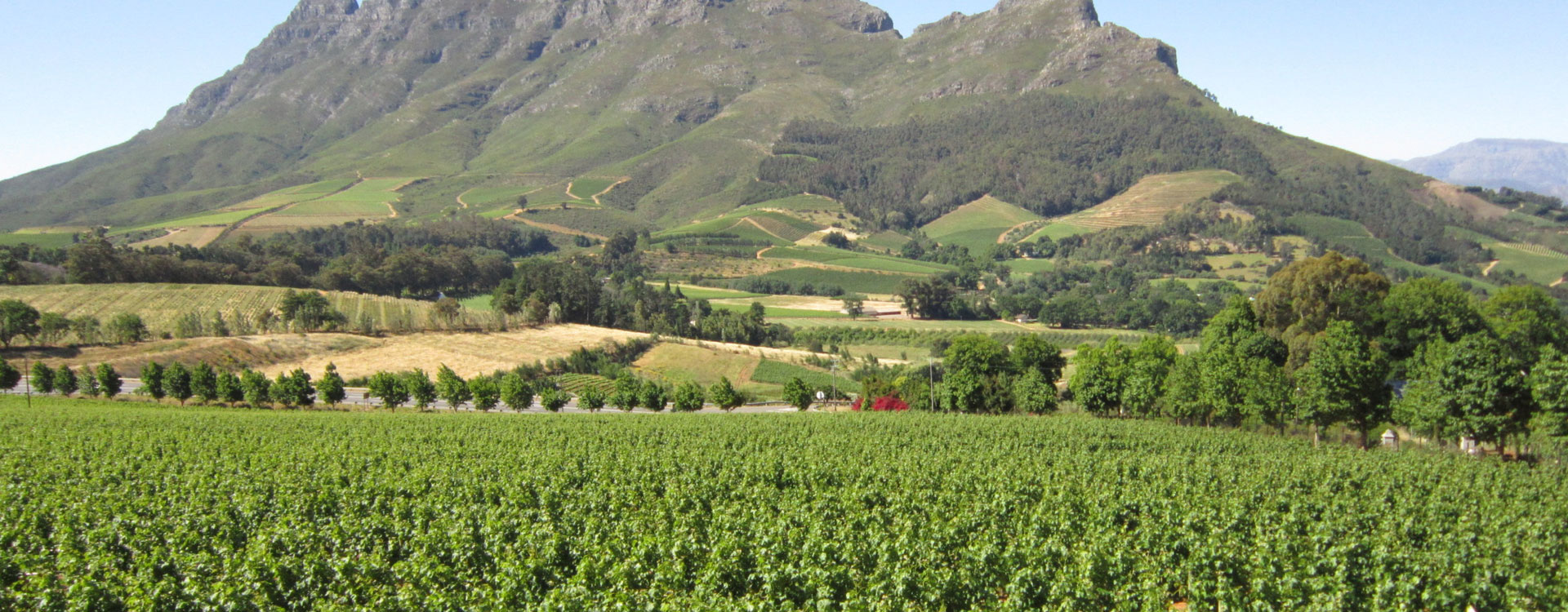 6 Day Self Drive Exclusive Wine lands Holiday
