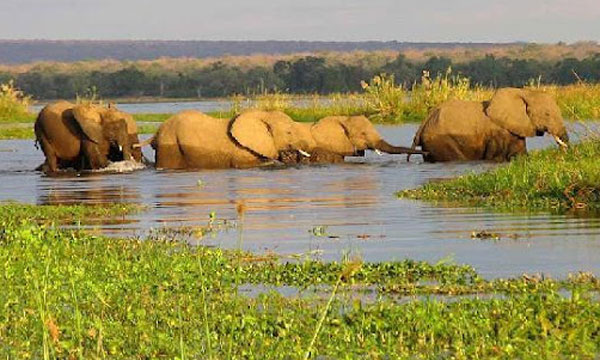6 Days Chobe And The Okavango