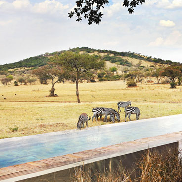6 Days Classic Tanzanian Tented Safari