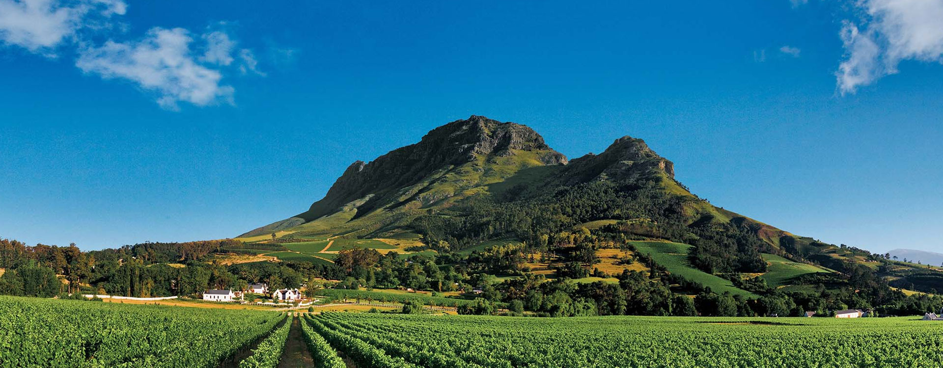 6 Days Deluxe Kruger And Cape Winelands Package