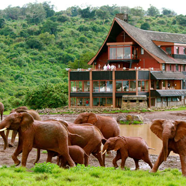 Royal Quest Tour Mount Kenya, Rift Valley Masai Mara