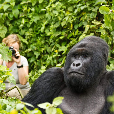 6 Days Queen Elizabeth and Kibale Safari