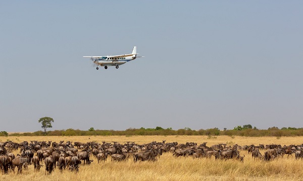 6 Day Road and Flying Package