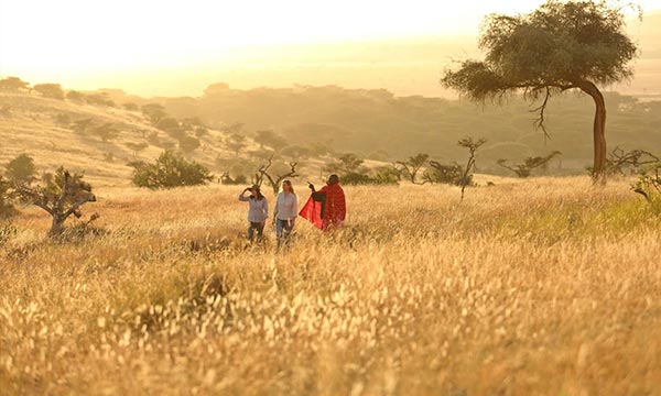 6 Day Royal Quest Tour Mount Kenya, Rift Valley Masai Mara