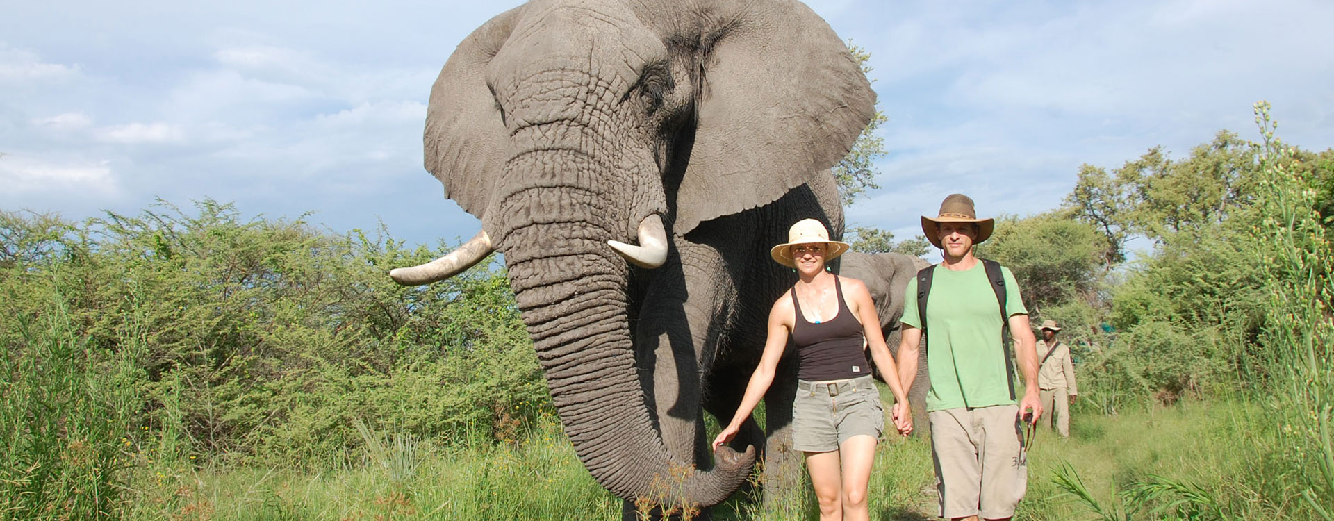 6 Days Ultimate Elephant Safari