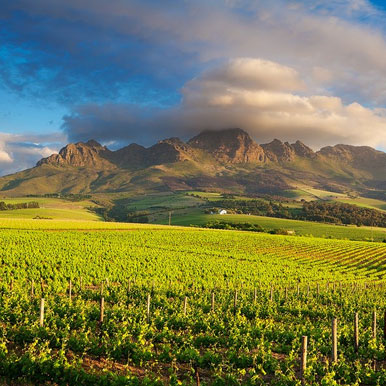 10 Day Cape Town and Kruger Park Golf Safari