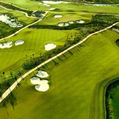 10 Day Cape Town and Kruger Park Golf Safari