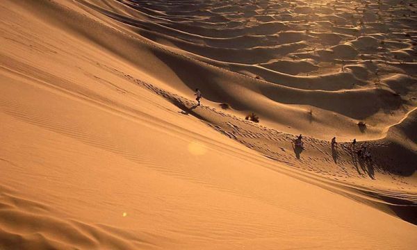 7 Day Namibia Highlights Fly--in Safari