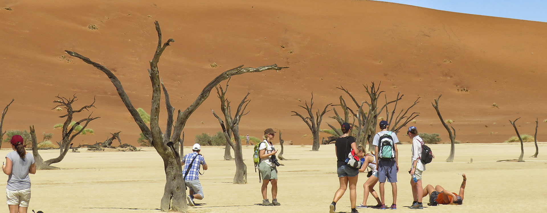 7 Day South Safari Tour Namibia